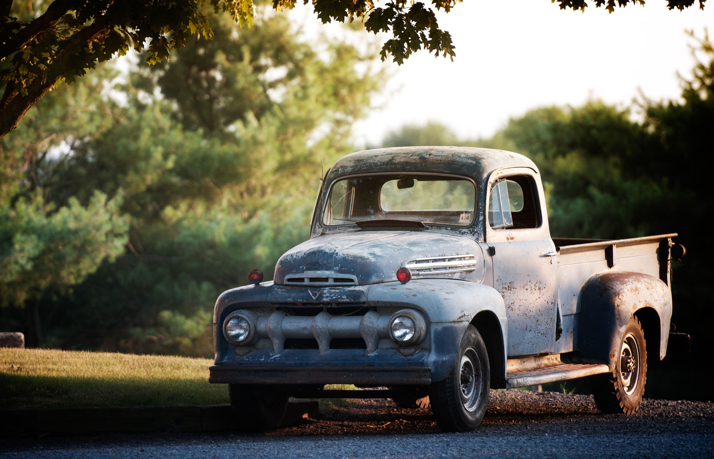 vintage truck parked under shaded tree
