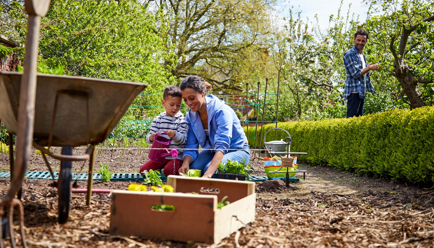 2-Homesteading-GettyImages-858436686.jpg Family gardening and pruning at home on a homestead