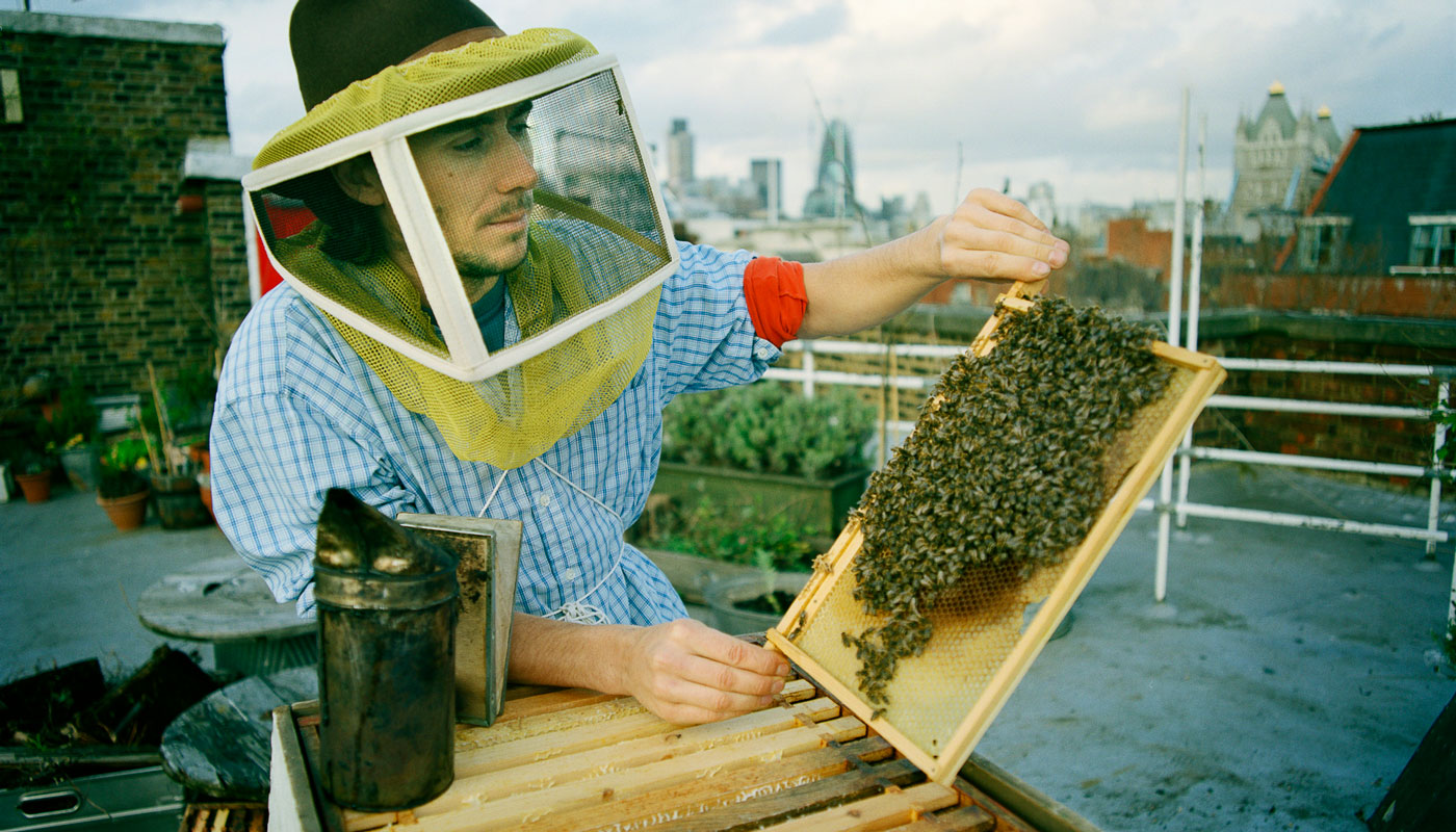 4-Homesteading-GettyImages-122061112.jpg Man raising bees in an urban setting
