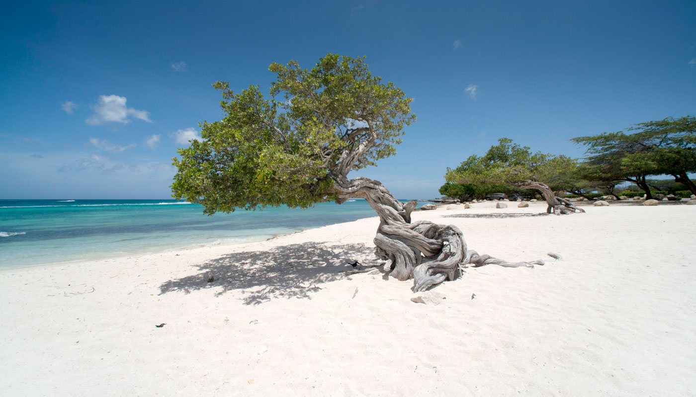 Aruba beach