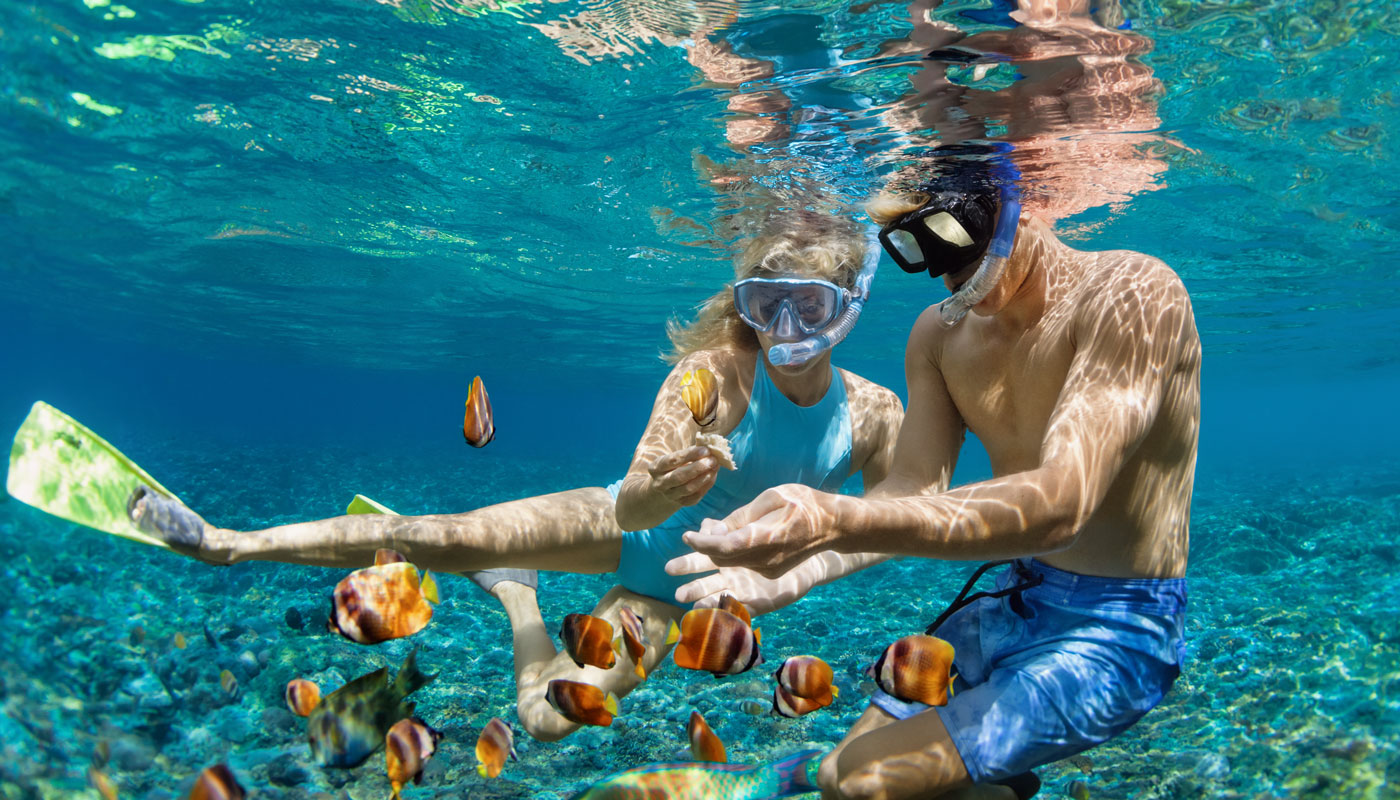 Young couple in snorkeling mask dive underwater in tropical sea