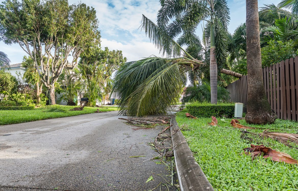 Safely Assessing Hurricane Damage