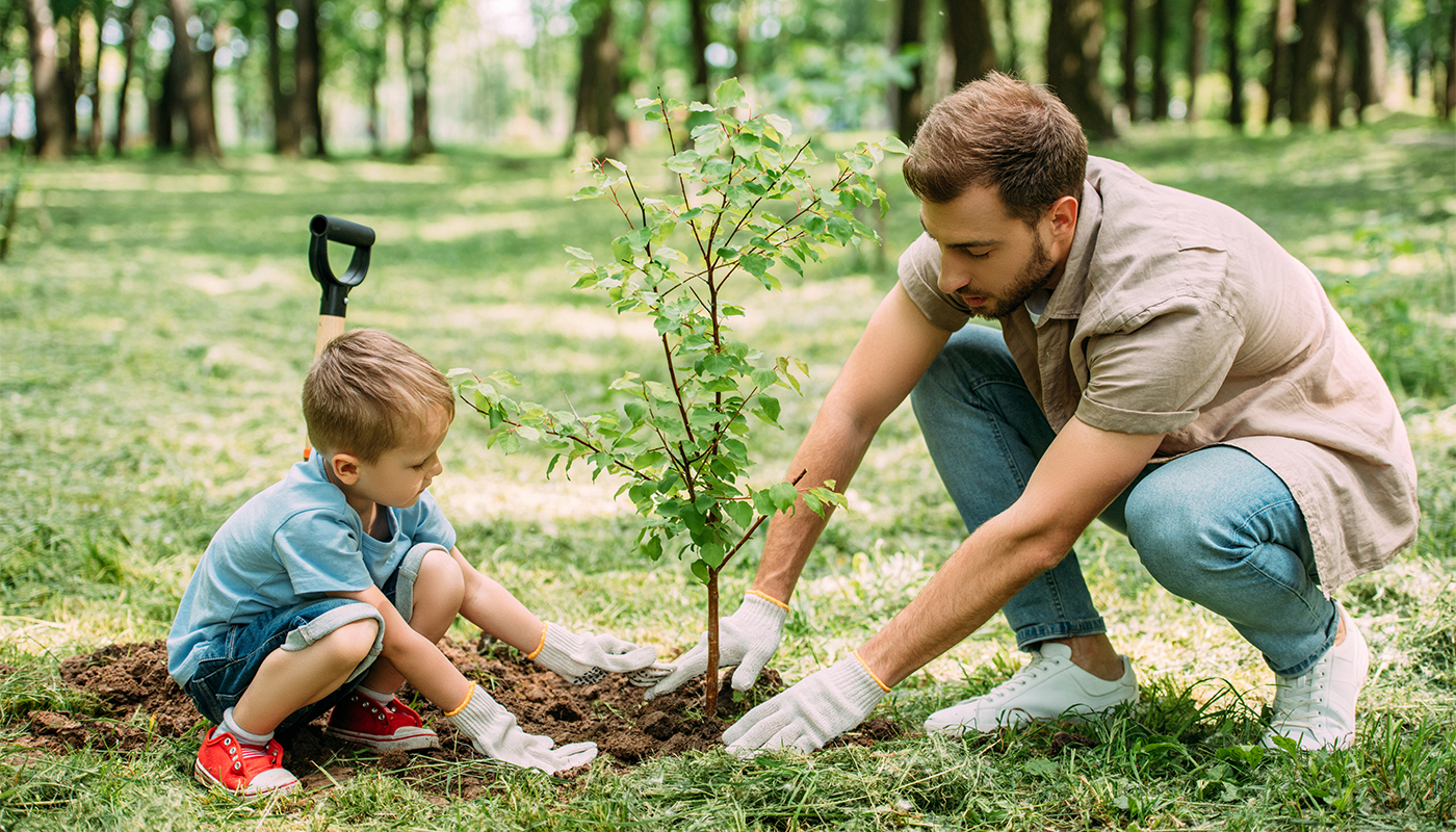 A father and his young son planting a small tree in their yard