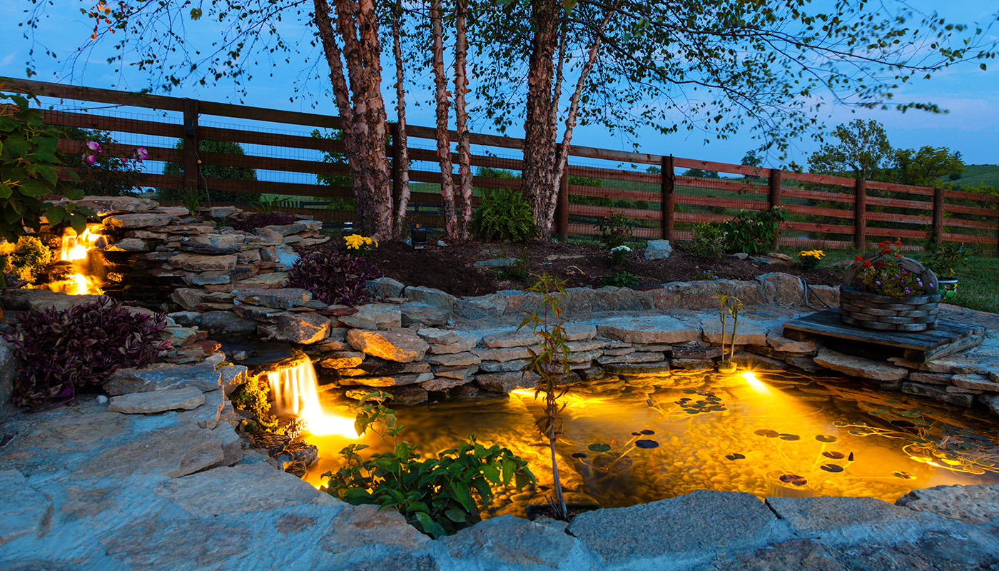 Fenced-in backyard at night with landscape lighting 