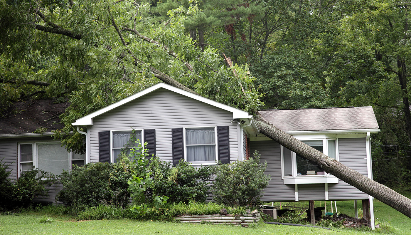 A home with a tree fallen on the roof.