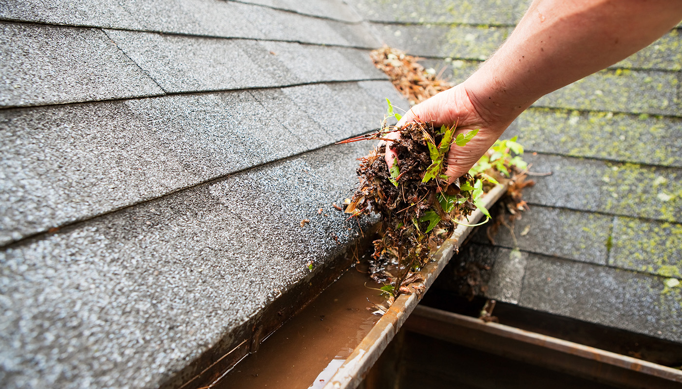 A hand pulling moss out of a wet gutter
