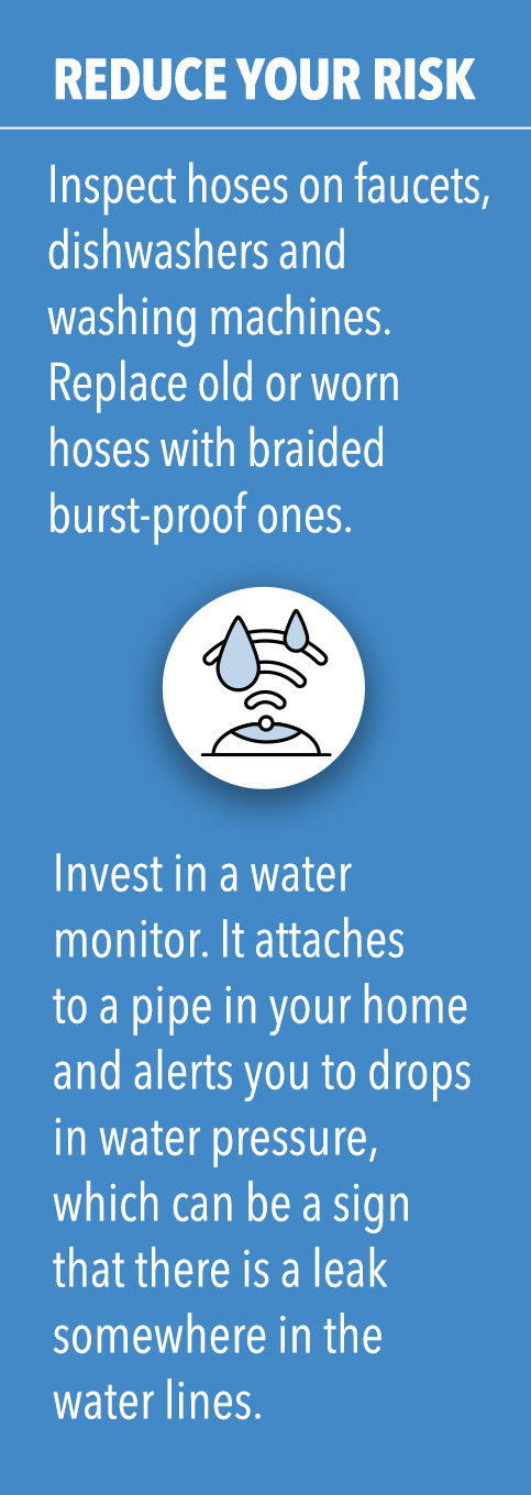 Pull quote about reducing your risk by inspecting home and investing in a water monitor