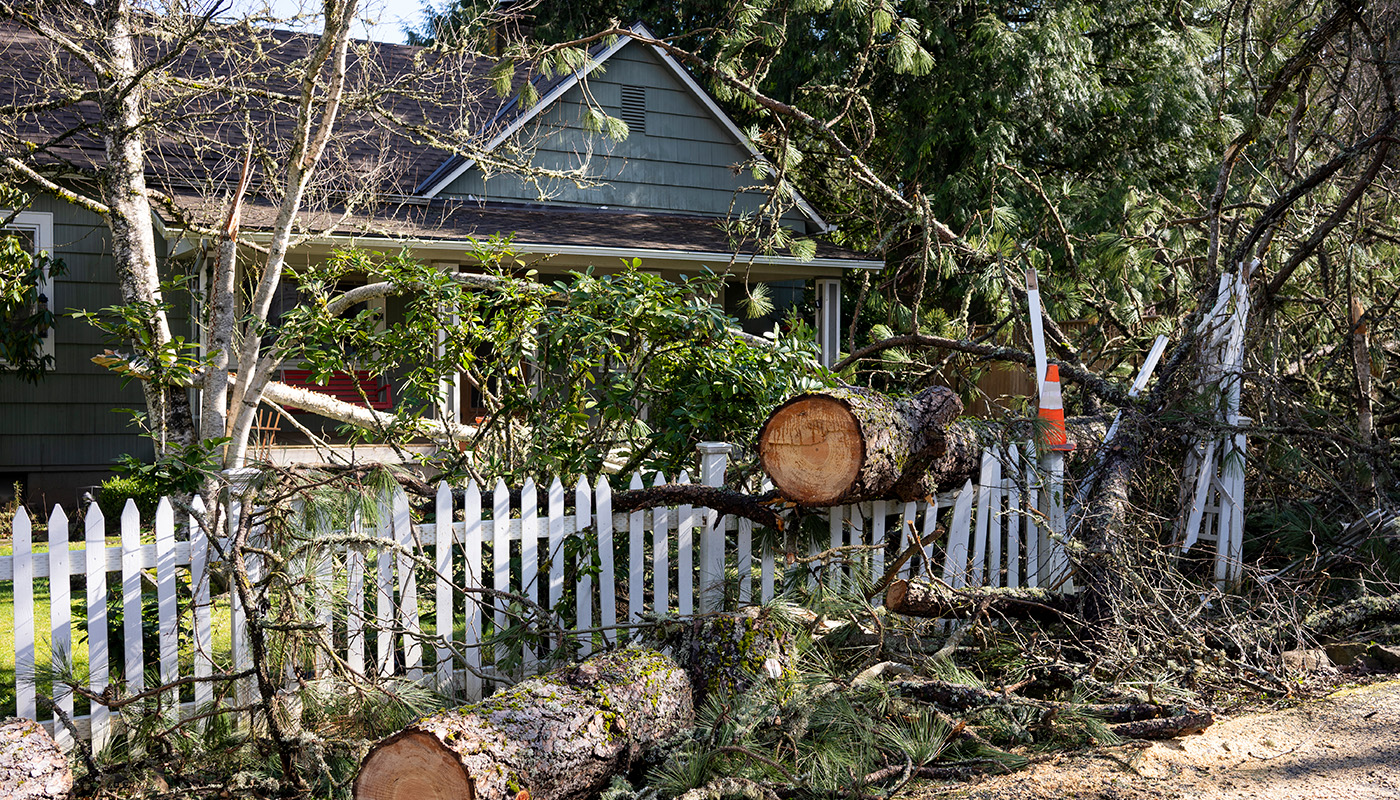 Fallen tree and limbs on house and picket fence