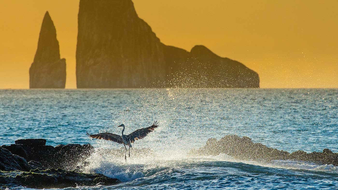 stunning landscapes of the Galapagos Islands