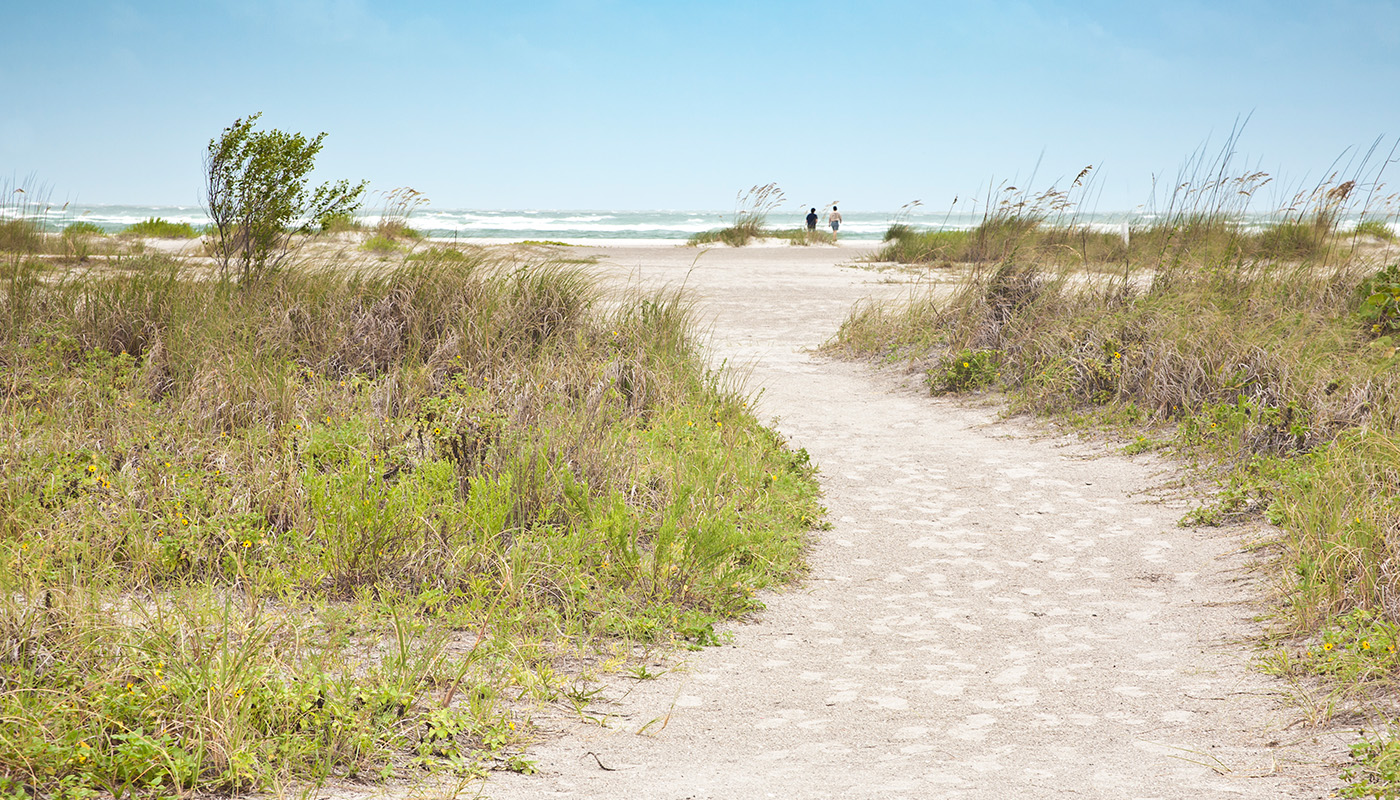 Sandy path to the beach with sea oats and beach vegetation on both sides,  and two beachcombers in the distance at Lido Key, Sarasota, Florida