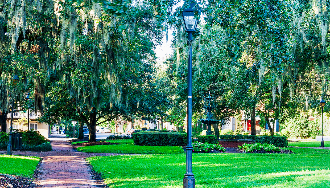 Spanish moss and green grass in the foreground of Lafayette Square in Savannah GA, with fountain in background