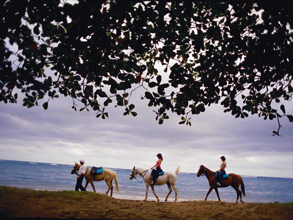 Explore Caribbean island on horseback