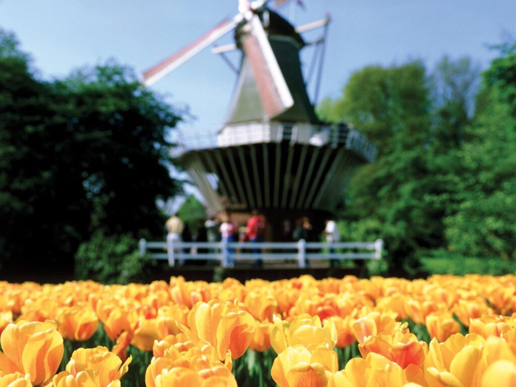 The Netherlands flower garden