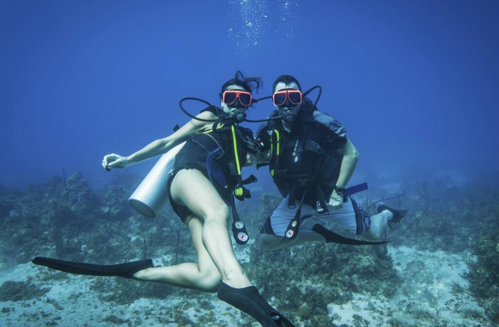 scuba diving with Caribbean's marine life