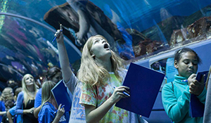 Children looking up at marine life while touring Georgia Aquarium