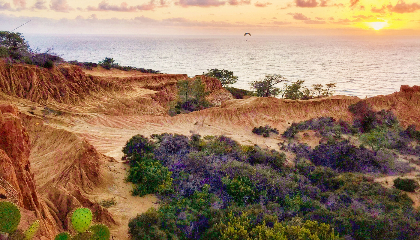 Broken Hill trail at Torrey Pines State Park at sunset with coastline in background