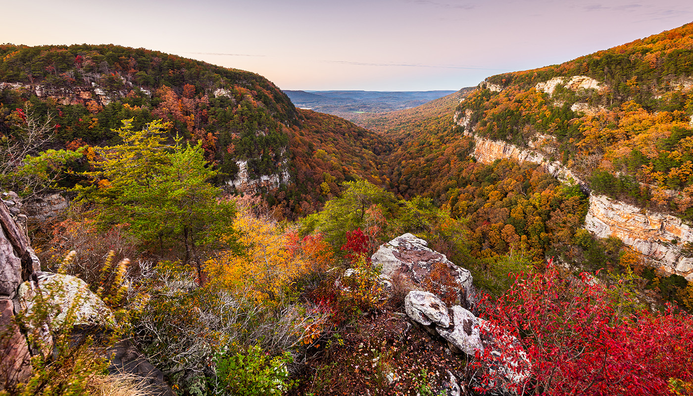 Aerial view of terrain and greenery at Cloudland Canyon State Park