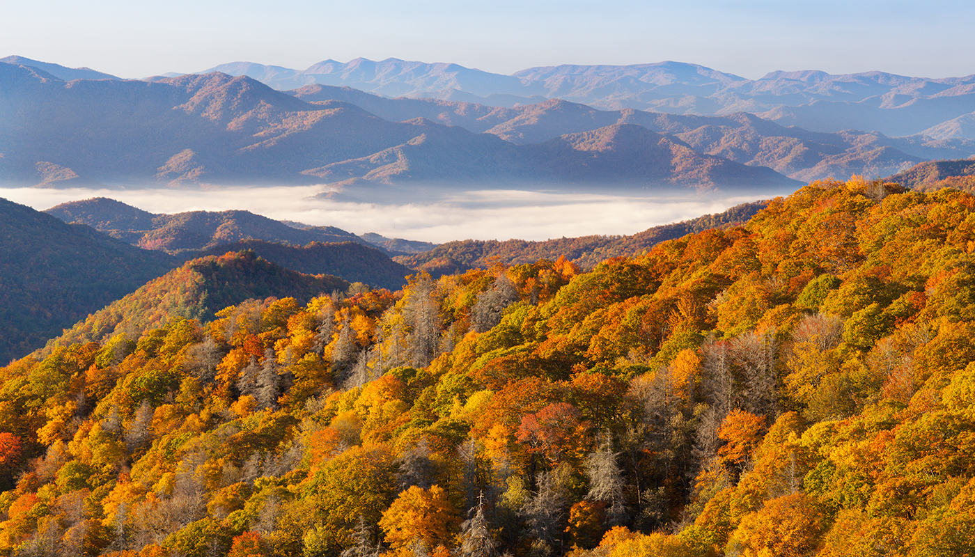 A sweeping view of the Great Smoky Mountains.
