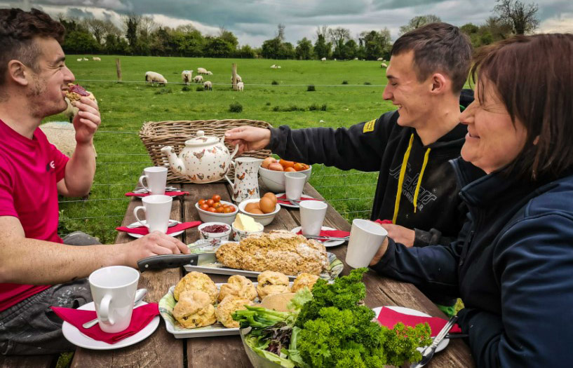 A farm picnic experience on Causy Farm, Navan County, Meath