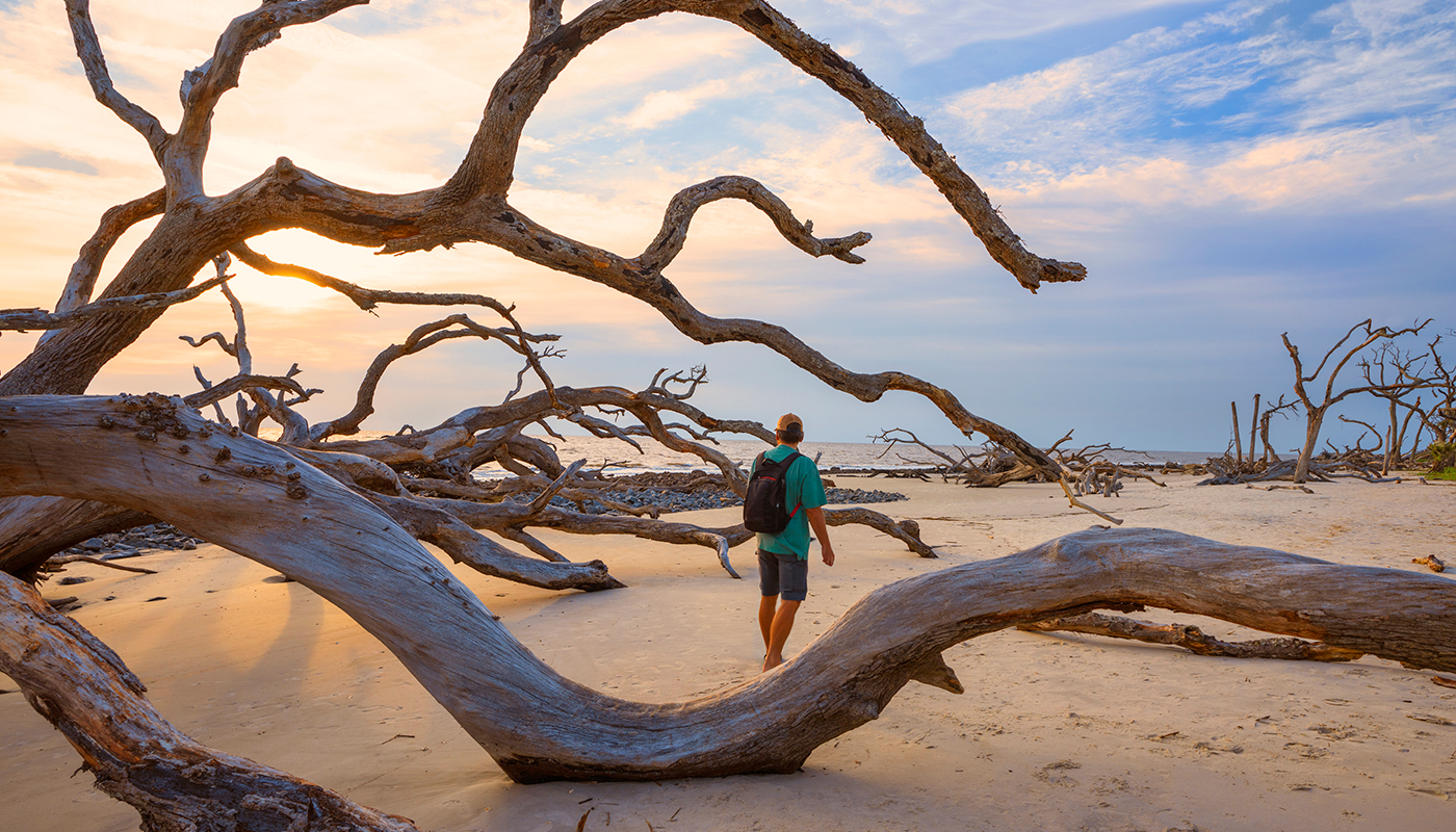 1340981141 Man surrounded by driftwood at Driftwood Beach on Jekyll Island, Georgia