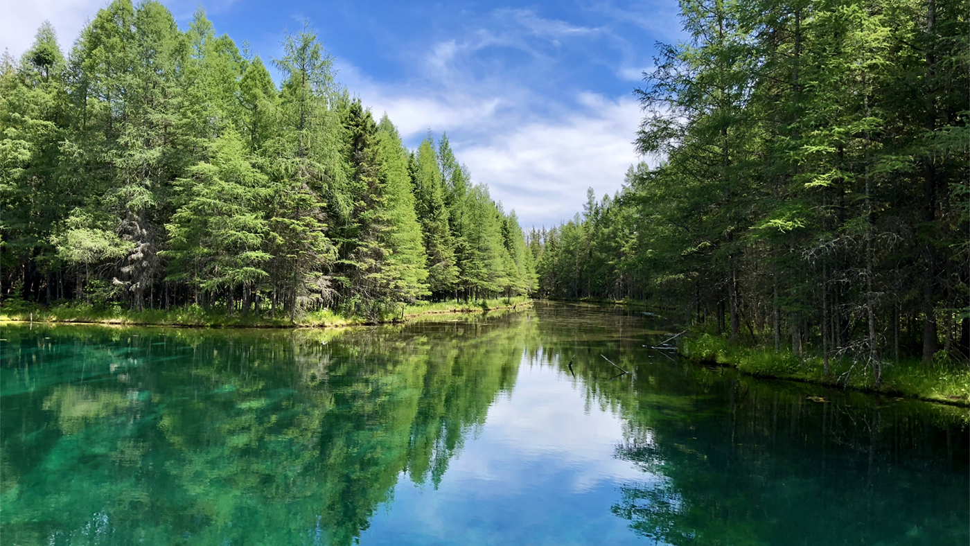 Green trees and blue sky reflecting against the surface of Lake Kitch-iti-Kipi 