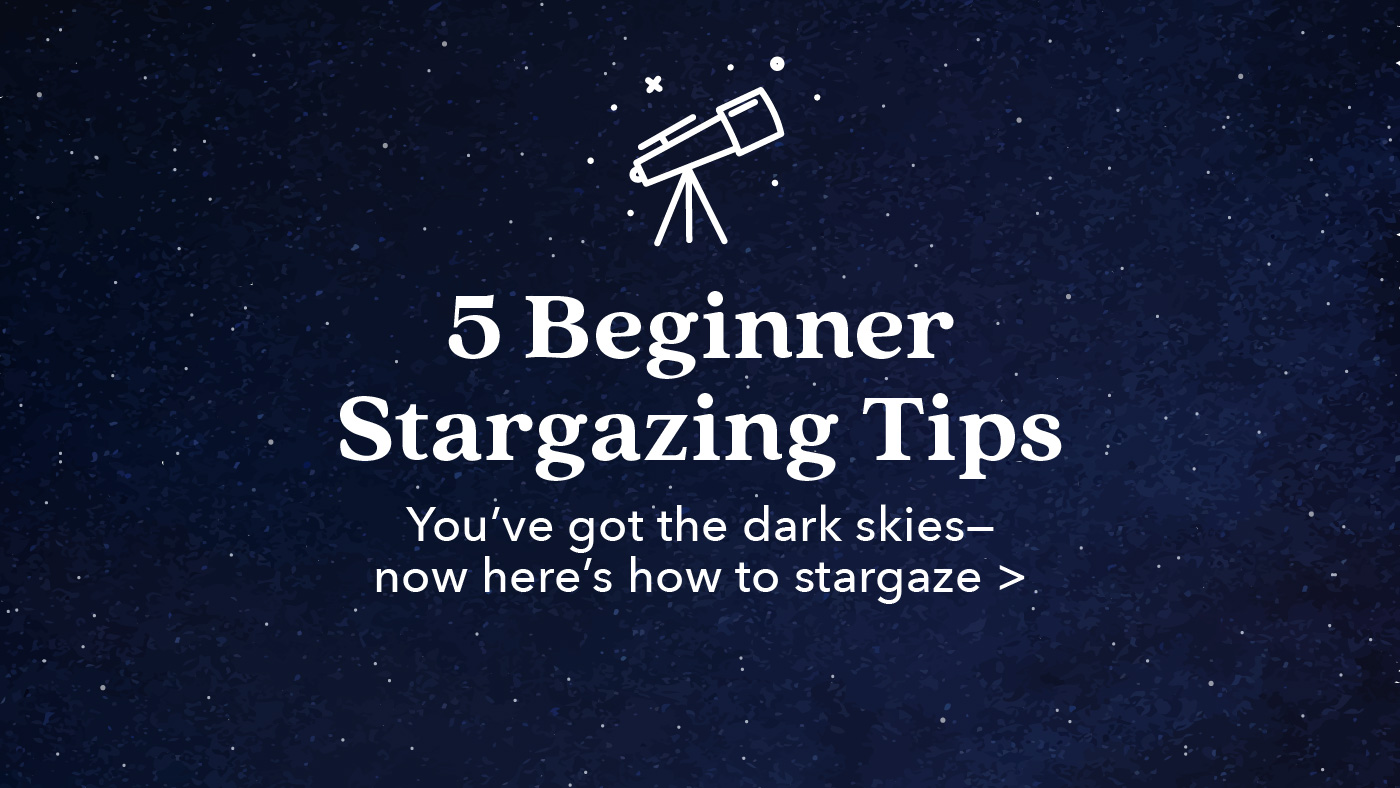 5 Beginner Stargazing Tips