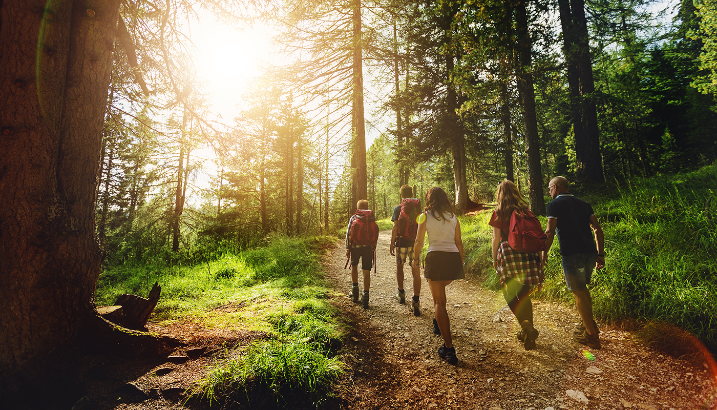 Five people hike along a tree-lined trail.
