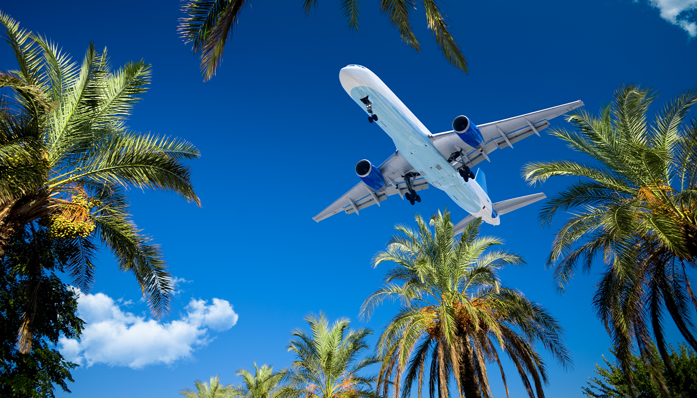A passenger plane flies over a group of palm trees.