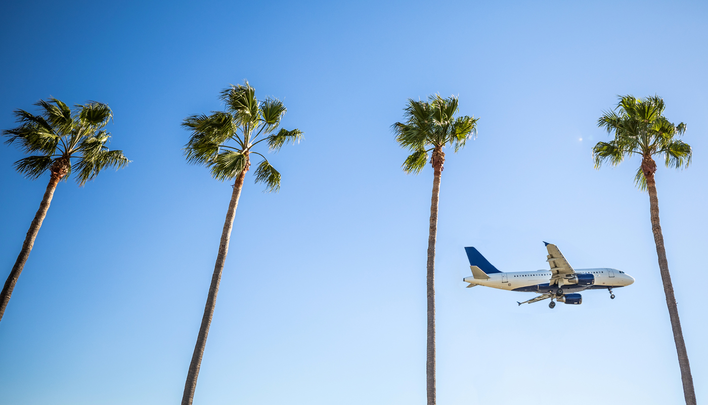 A passenger plane flies by a row of palm trees. 