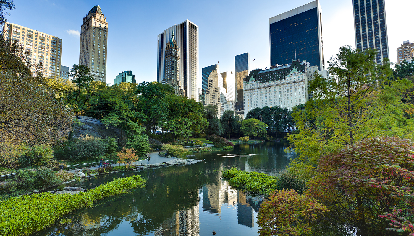 A view of a pond in Central Park with skyscrapers towering above. 