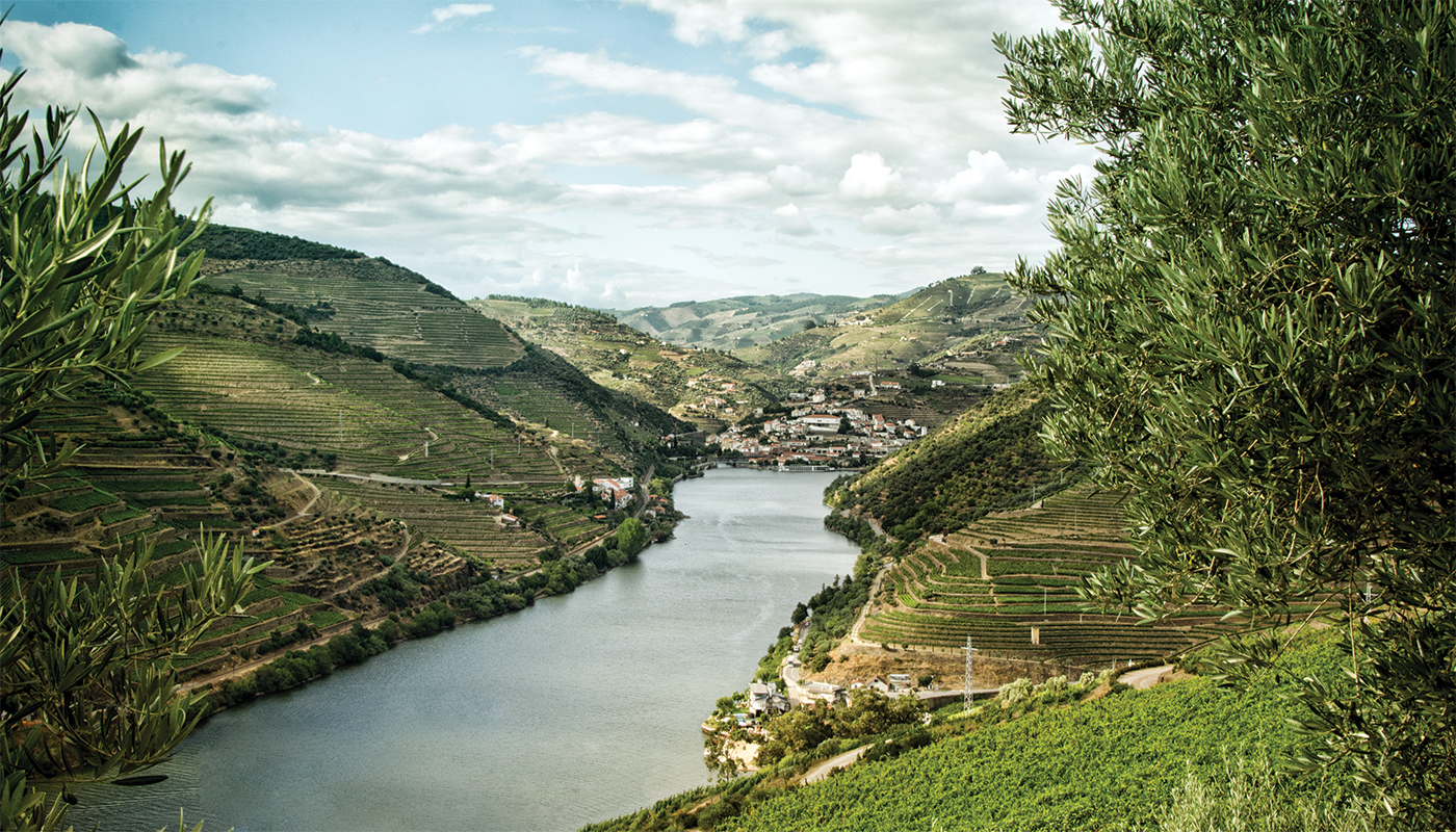The Douro River and surrounding landscape