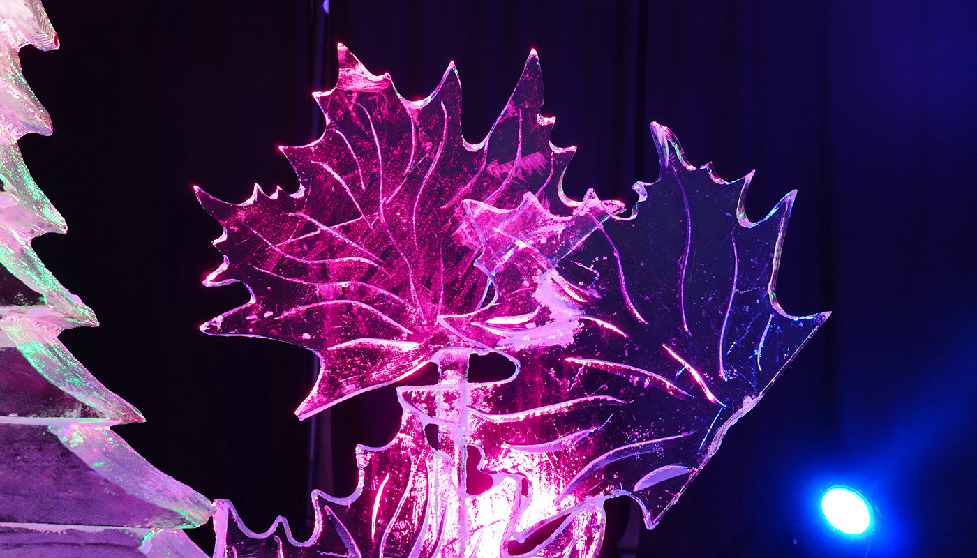 Maple leaf sculpture from the International Ice Carving Competition in Canada