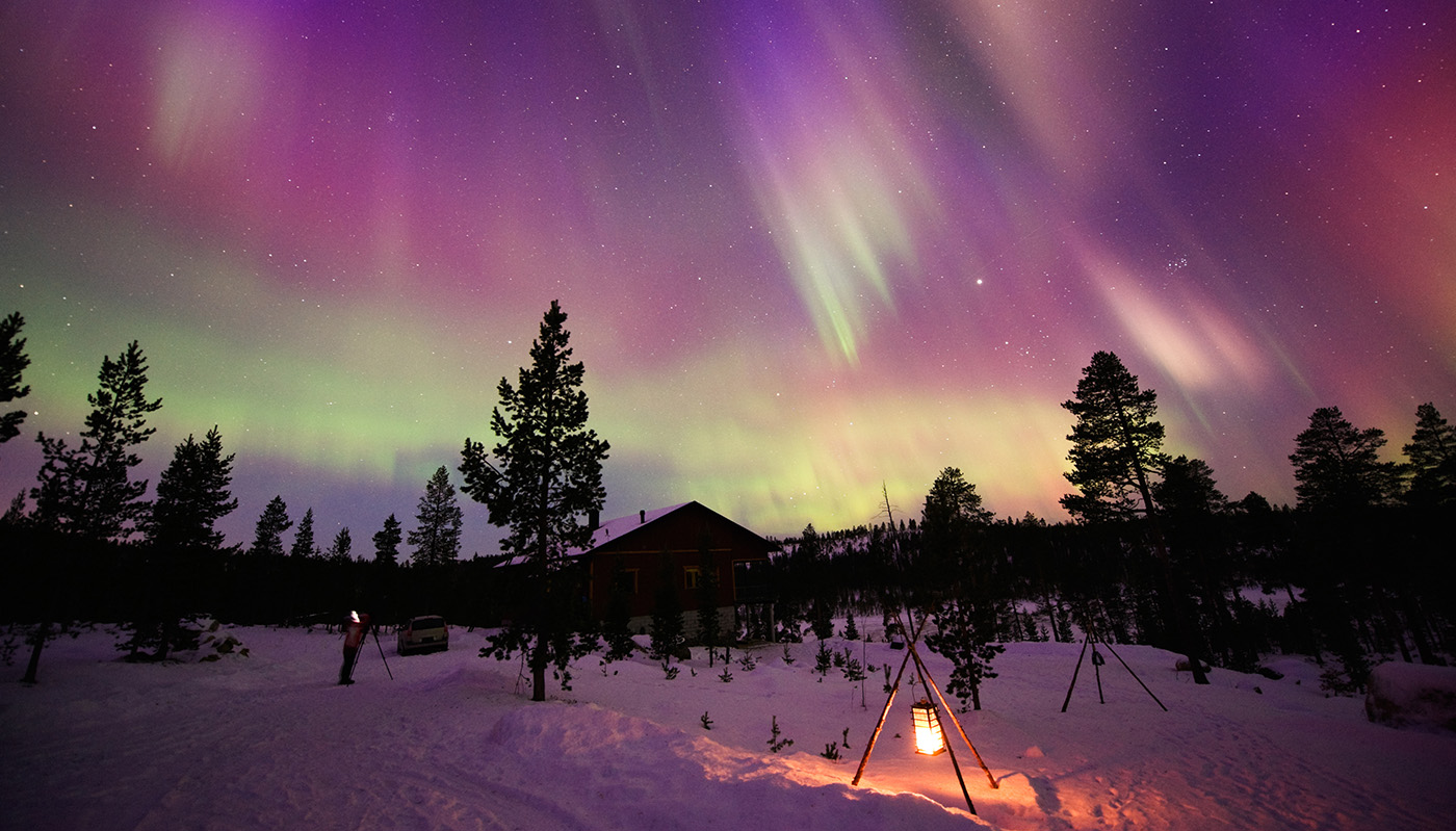 Purple and green night sky featuring the northern lights with snow and trees in foreground