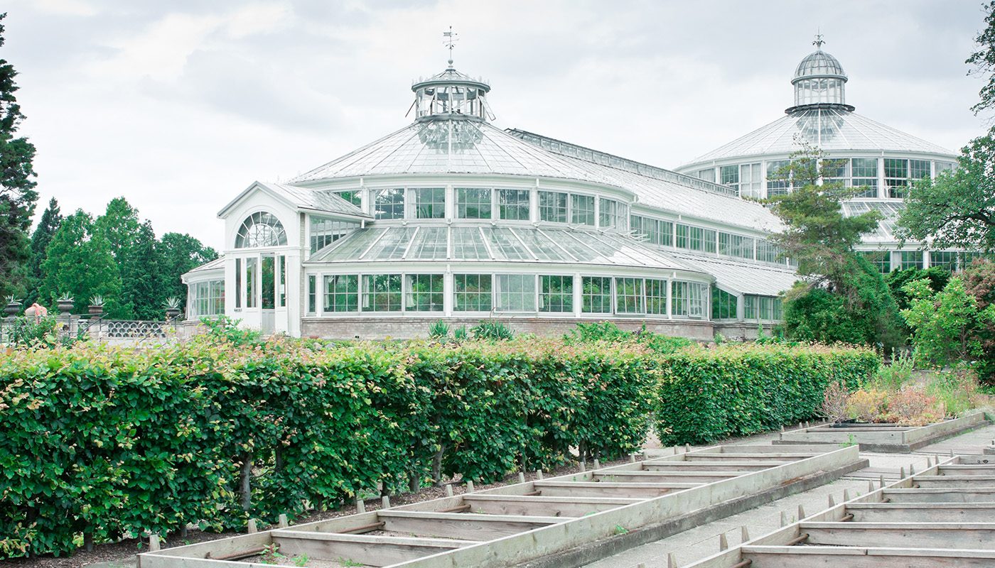 Exterior of the Palm House surrounded by green hedges