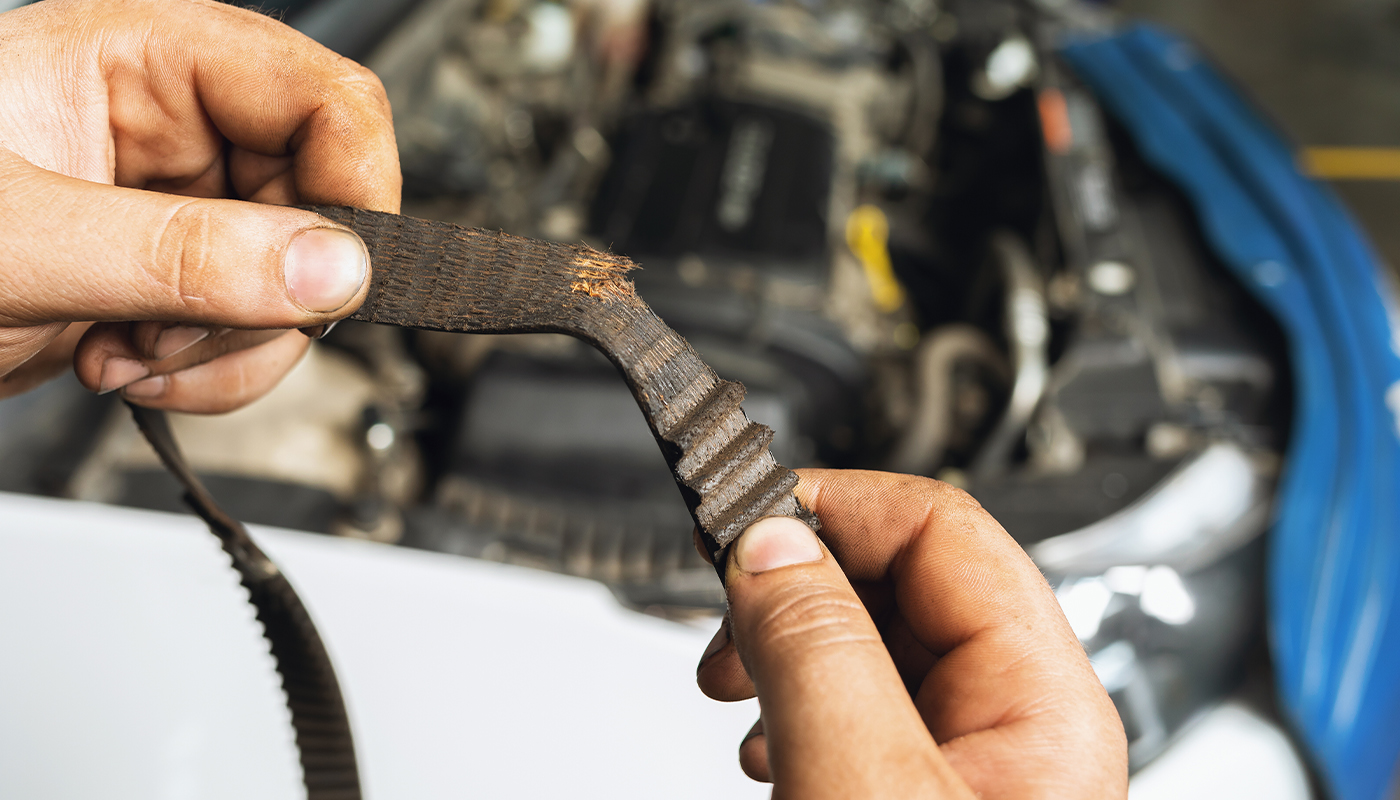 Hands hold up a vehicle’s frayed timing belt.