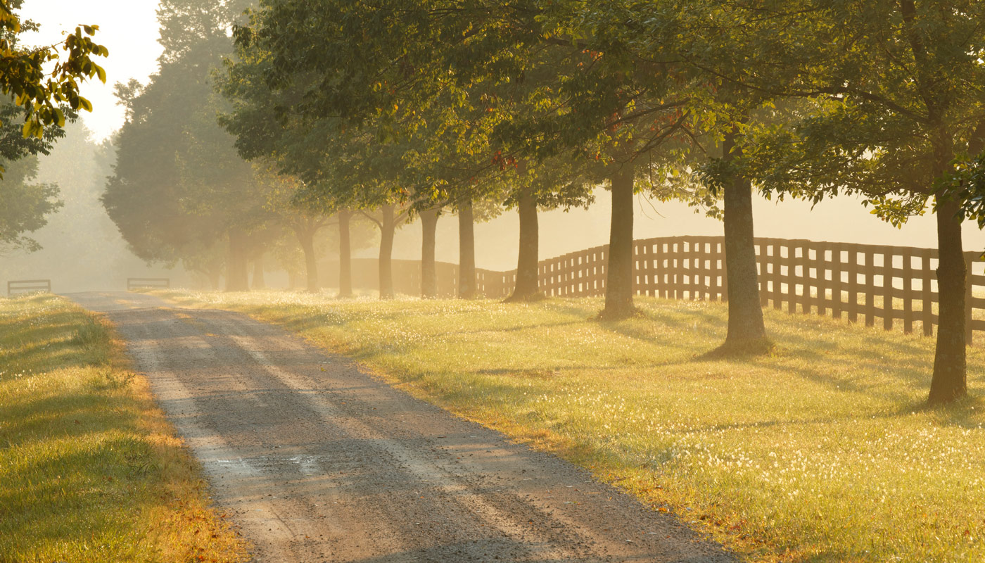 Rural road and horse farm at sunrise in Kentucky