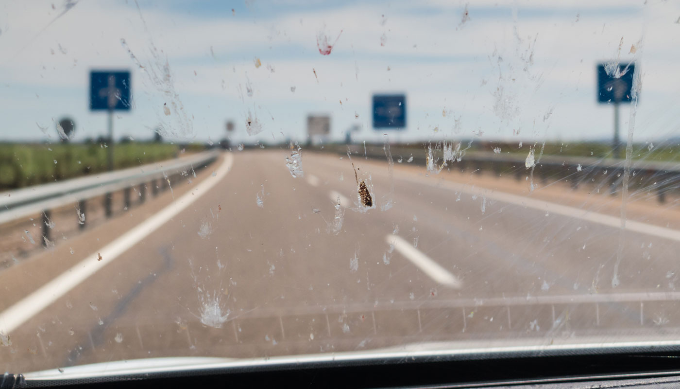 bug covered windshield