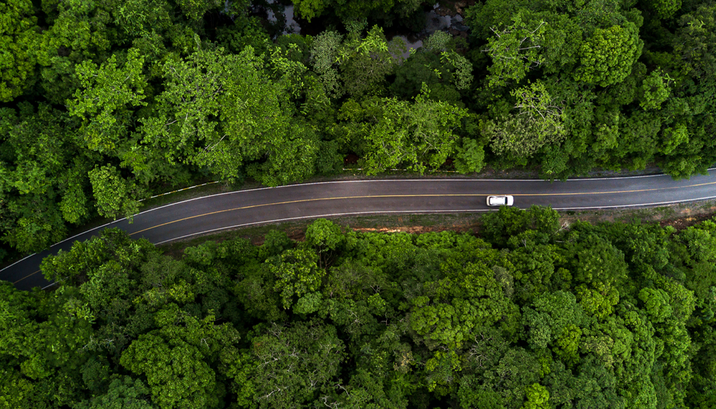 A sky view of a white car speeding down a dark road surrounded by a green forest. 