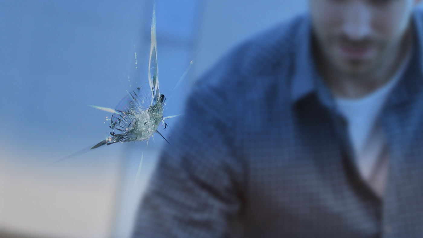 Windshield Repairs When to Fix vs. Replace