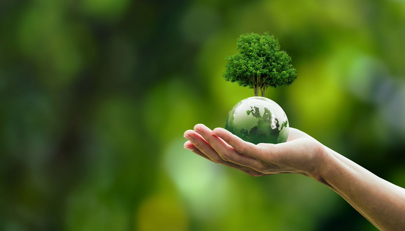 Hand holding the earth with a green tree