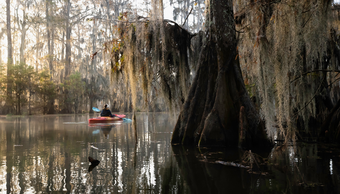 A lone kyaker paddling on a quiet river or lake that feels like a swamp