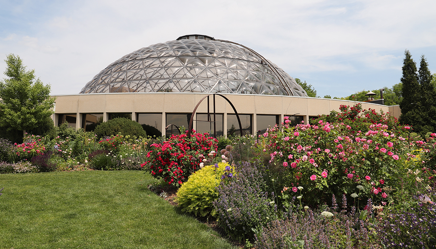 A wide range of flowers in the foreground and the domed structure of a botanical garden in the background.