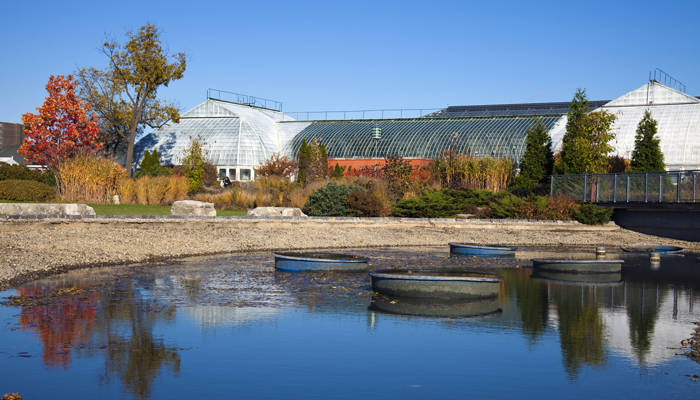 A still pond in front of a large greenhouse. 