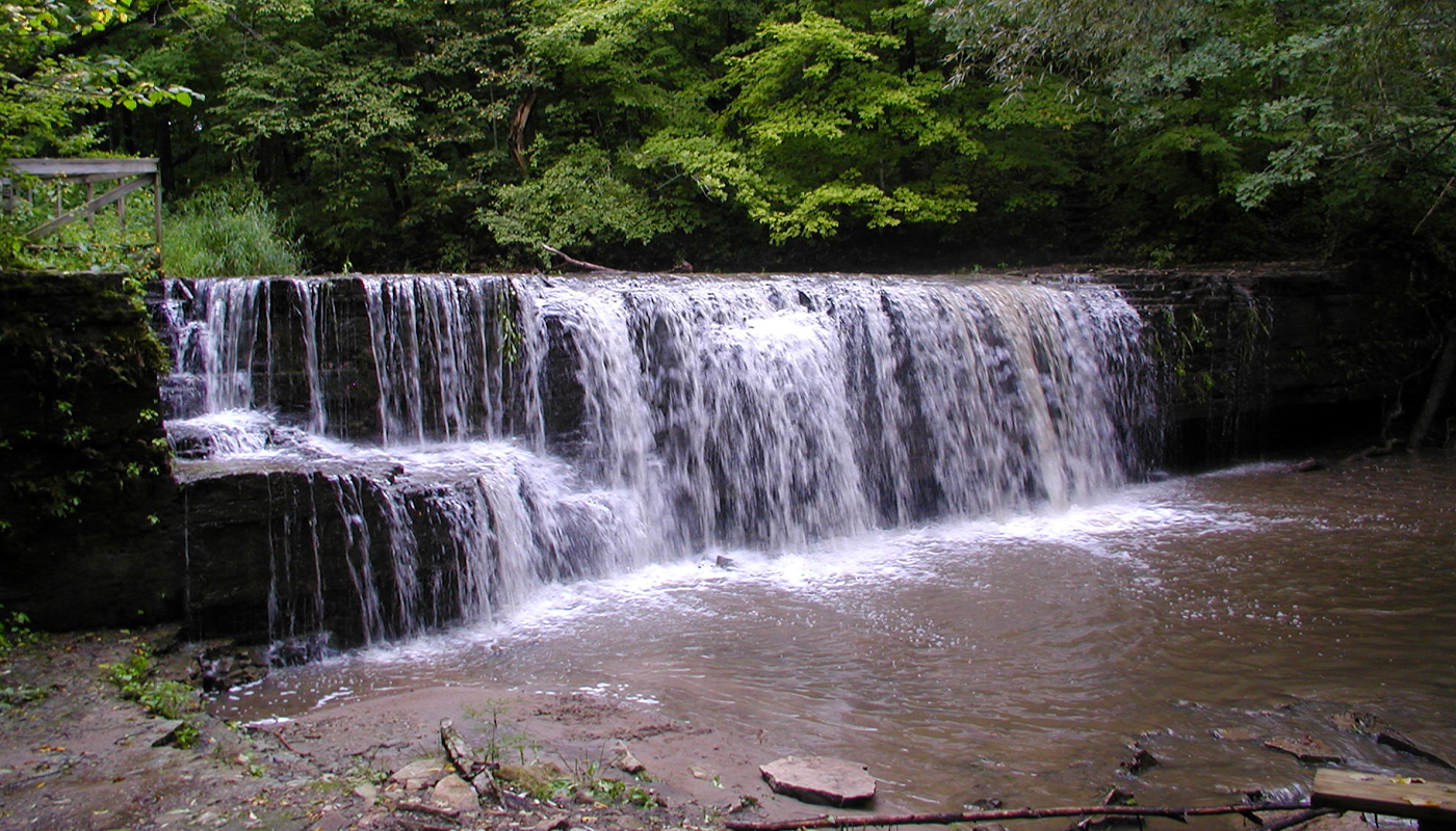 Waterfall with trees in background
