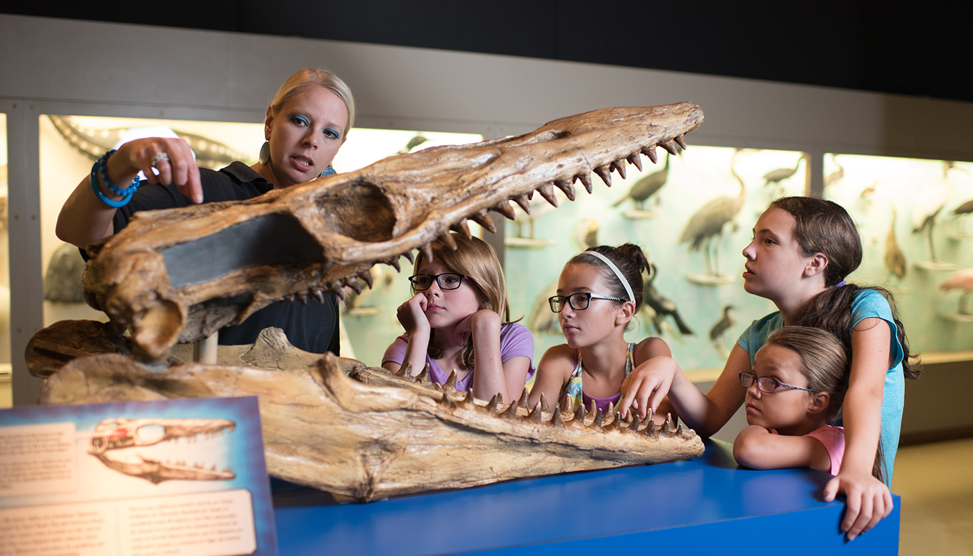 A museum guide shows a group of children the details of a dinosaur skull in an exhibit. 