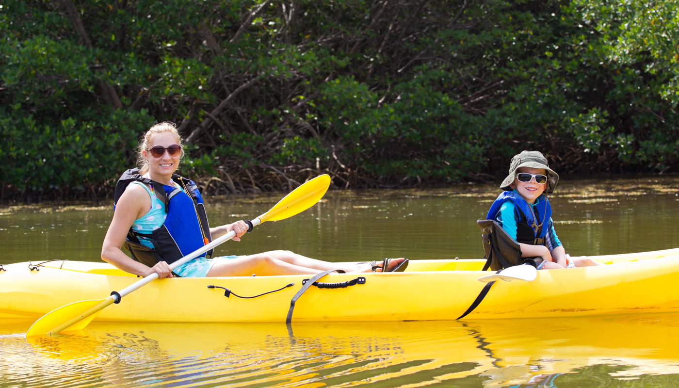 Kayaking in the Mangroves in Florida