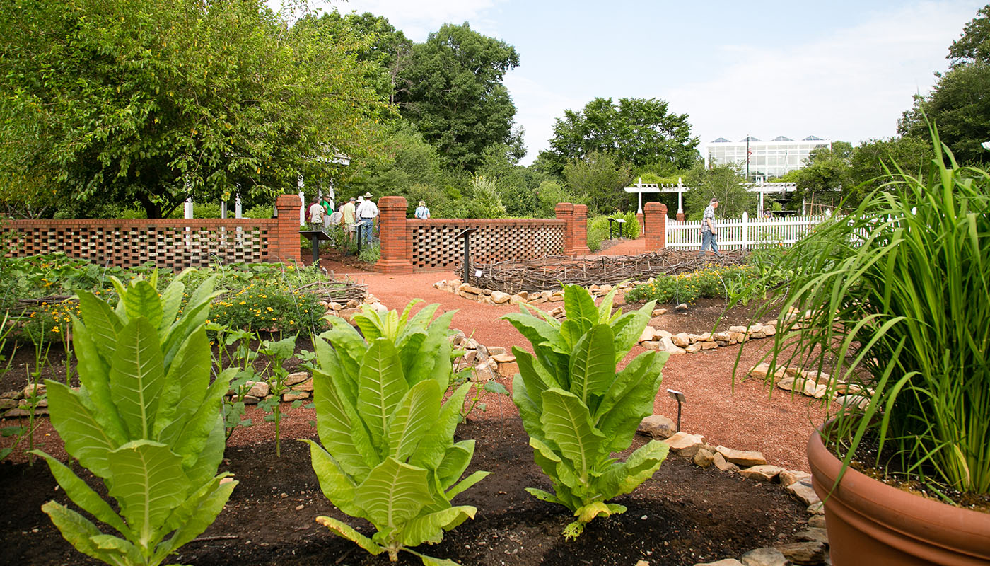 A path runs through six outdoor garden plots. 