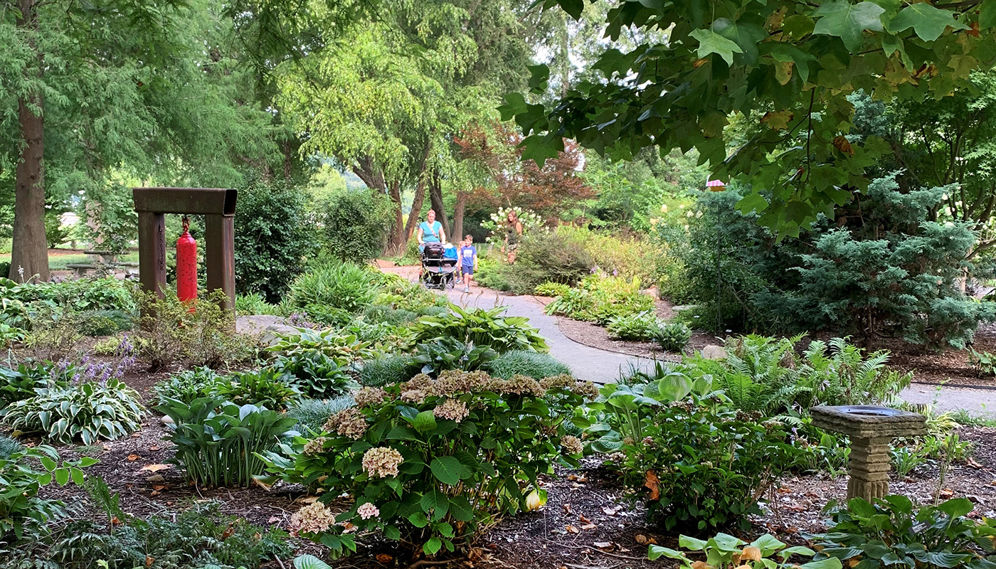 A small family strolls down a garden path. Hydrangeas bloom in the foreground.