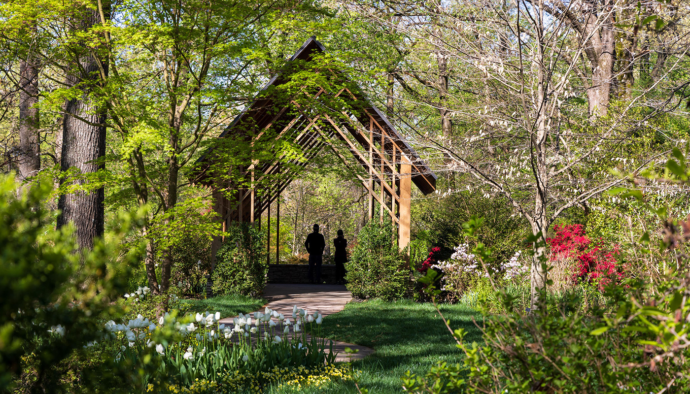 A paved garden path leads to a pavilion in the woods. Plants bloom in the foreground.