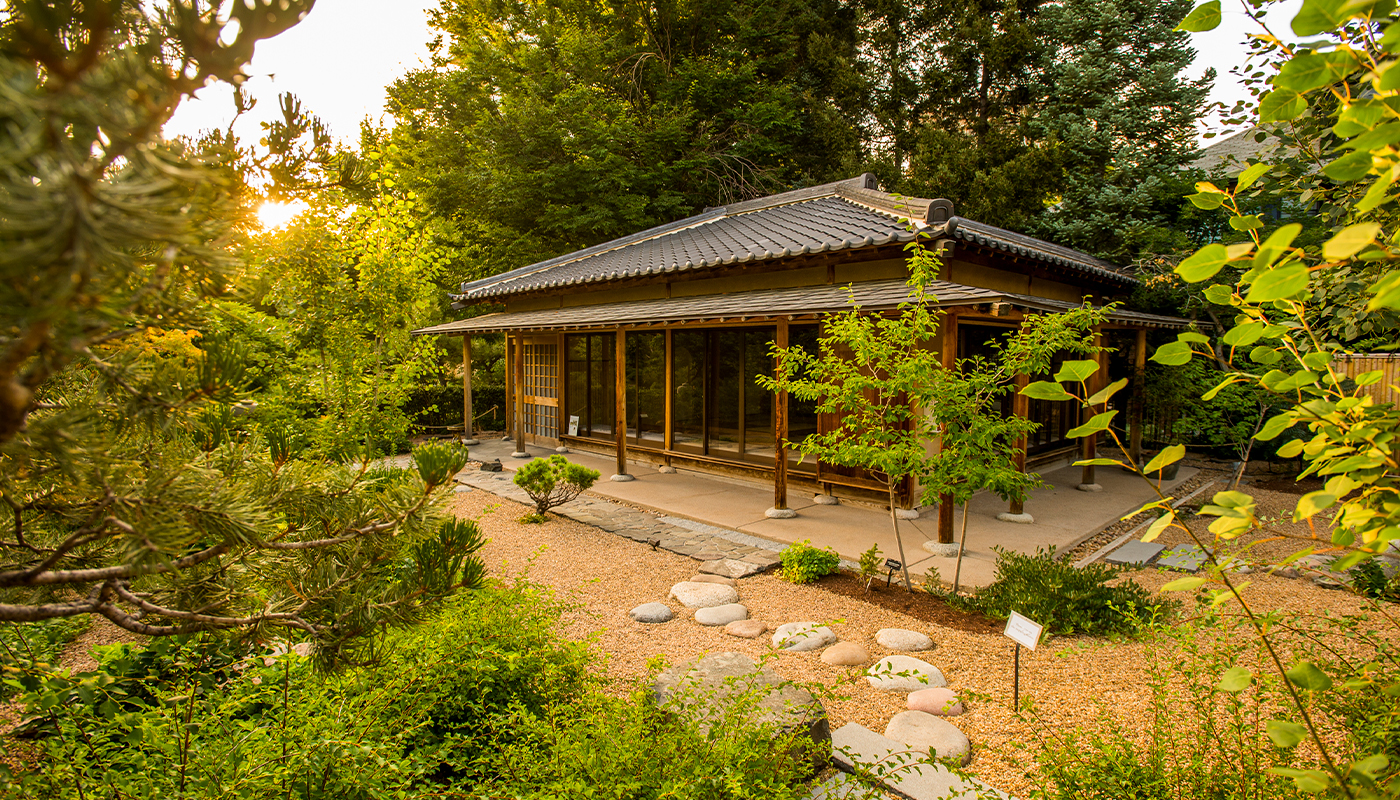 A stone path set in gravel leads to a Japanese tea house with traditional architecture. 